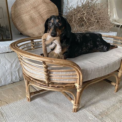 Rattan Dog Bed With Cotton Cushion Modern General® Sylvester And Co