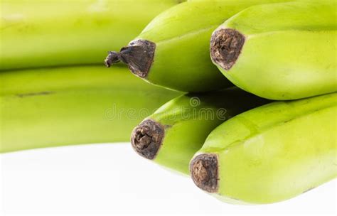 Banana Verde Orgnica Musa X Paradisiaca Foto De Stock Imagem De