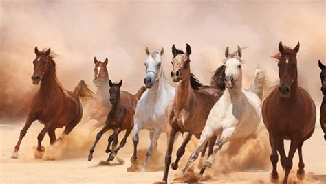 Tejido de diseño de caballo en un lado y lino natural o similar en el reverso. Fotomurales Estampida De Caballos