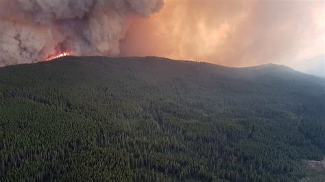 Canadas British Columbia Wildfires Prompt State Of Emergency Bbc News