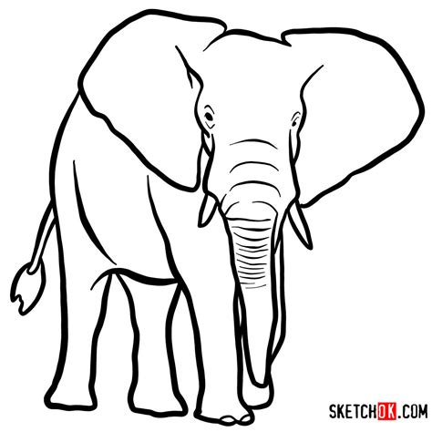 How To Draw An Elephant Front View Wild Animals Sketchok Easy