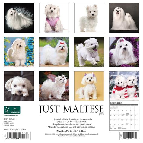 Maltese Calendar 2023 Willow Creek