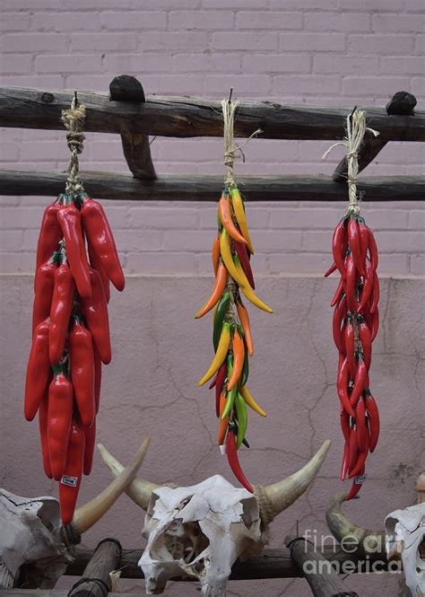 Chili Peppers Hanging In The Midwest Photograph By Dejavu Designs Pixels