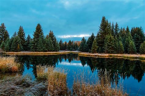 Panoramic View Of Lake In Forest · Free Stock Photo
