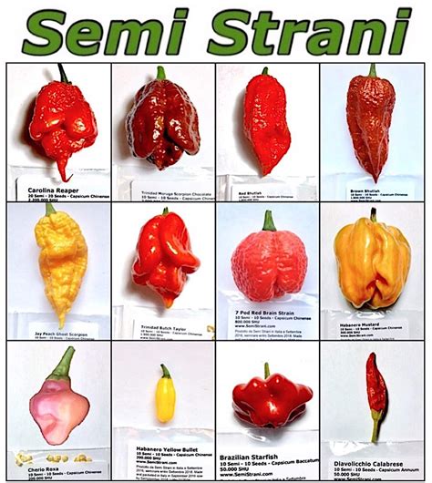 Buy 120 Pure In 12 Varieties Of The Best And Hottest Worlds Chili