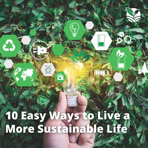 10 Easy Ways To Live A More Sustainable Life More Sustainable Life