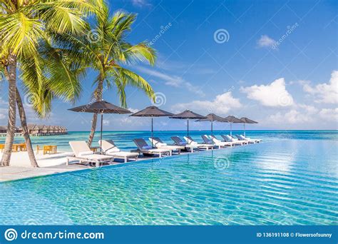 Perfect Beach Scenery With Coconut Palm Tree Around Swimming Pool In