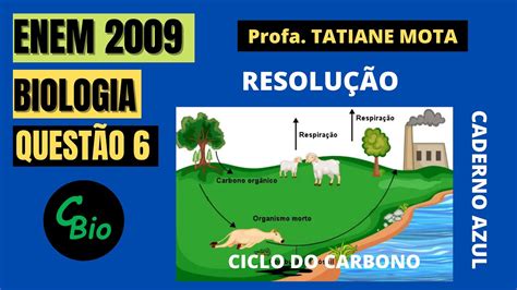 Enem 2009 O Ciclo Biogeoquímico Do Carbono Compreende Diversos Compartimentos