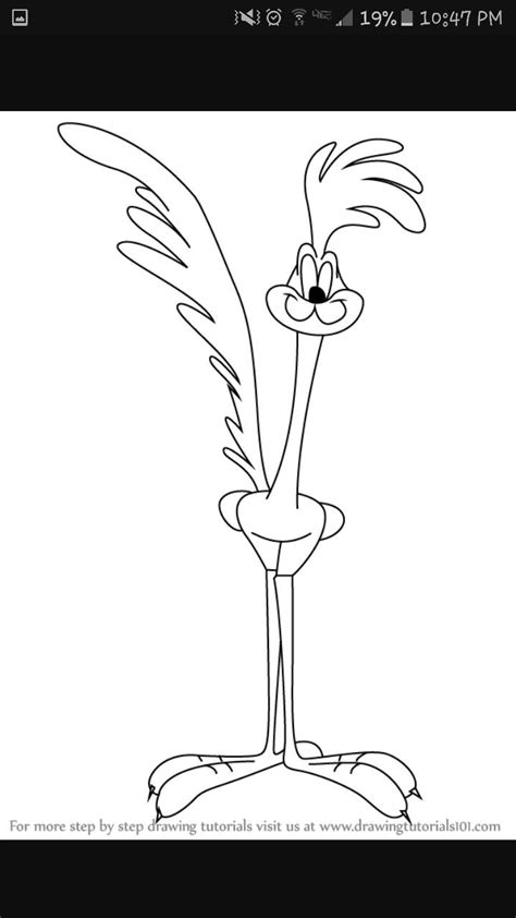 Some greater roadrunner svg may be available for free. Pin by Katherine Butler on tattoo ideas | Drawing cartoon ...