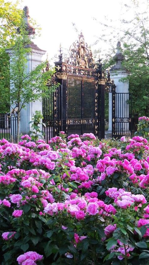 Gates To Queen Marys Rose Garden In Londons Regent Park