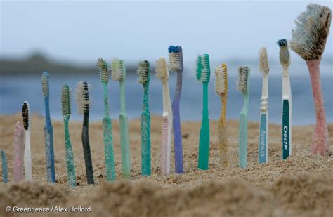 Plastic Pollution Five Tips To Reduce How Much Plastic