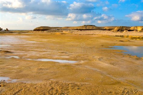 The Desert After Raining Stock Image Image Of Liwa Panorama 35009959