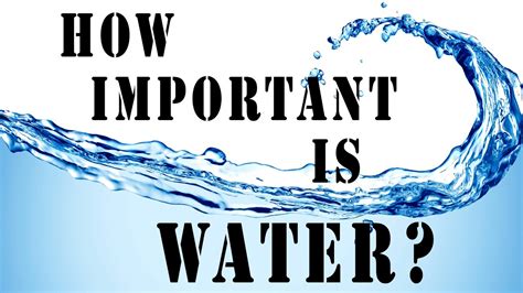 How Important Is Water Youtube
