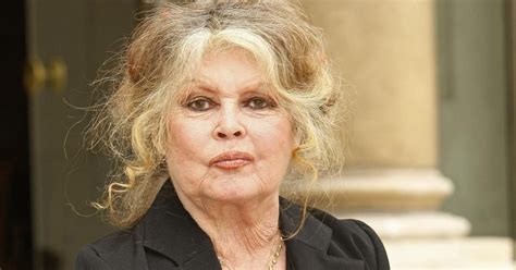 Polémique Brigitte Bardot Apporte Son Soutien à Roman Polanski En Plein Dans La Tourmente Des