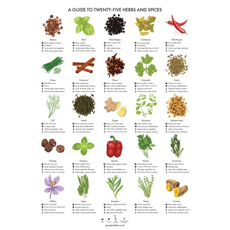 Herbs And Spices Guide Poster A4a3a2 Kitchen Print Food Etsy