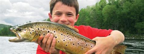2012 Freshwater Fishing Guide From The New Hampshire Fish And Game