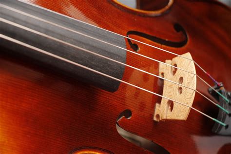 Viola Violin Instrument Musical Free Photo On Pixabay Pixabay
