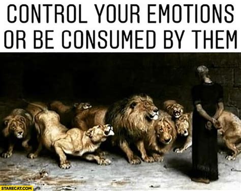 Control Your Emotions Or Be Cosumed By Them Animals Lions