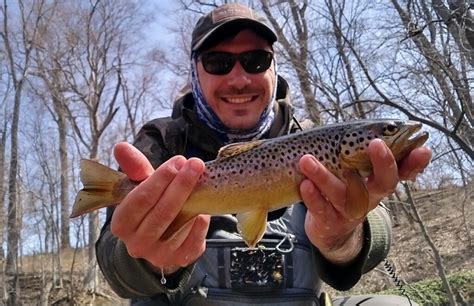 Trout Havens Spruce Creek Pa Fly Fishing Blog Trout Haven