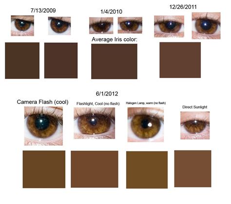 Rhiwritesmadly Brown Eye Quotes Eye Color Chart Eye Color Facts Brown