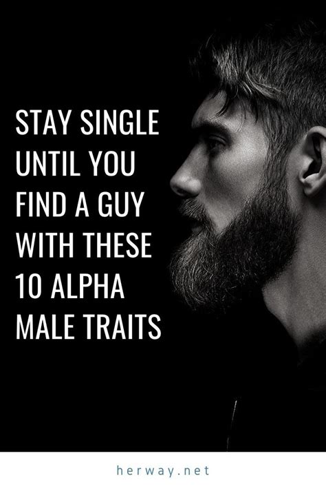 Stay Single Until You Find A Guy With These 10 Alpha Male Traits Alpha Male Traits Alpha Male