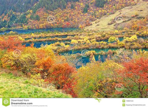 Autumn Tree And Lake In Jiuzhaigou Stock Photo Image Of Gold Holiday