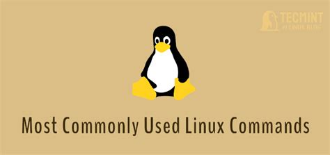 Most Commonly Used Linux Commands You Should Know The Linux Centre