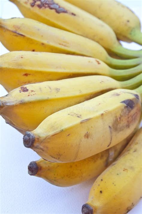 Banana Fruit Stock Image Image Of Cultivated Fruits 31966397