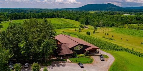 Tasty Discoveries Await Travelers In Yadkin Valley Wine Country