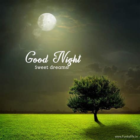 100 Best Good Night Wishes And Messages Funky Life