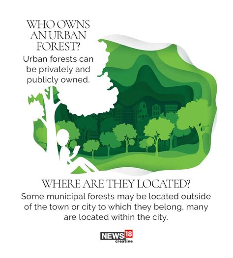 Urban Forest Programme What Urban Forests Are And How They Can Transform