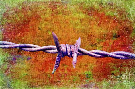 Barbed Wire 3 2 Photograph By Debbie Portwood Fine Art America