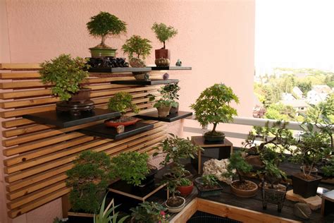 In der bonsai kunst will man einen alten baum verkleinert nachbilden. Bonsai - Gemeinschaft: Mein Bonsai - Garten
