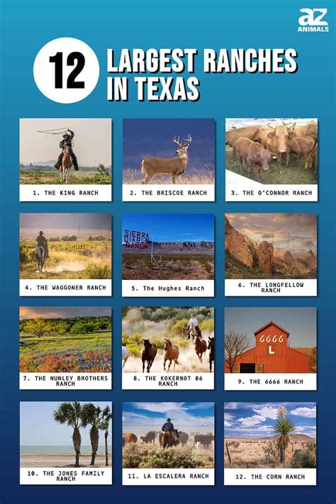 The 12 Largest Ranches In Texas In 2024 A Z Animals