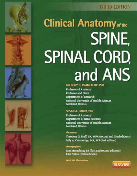 Pdf Download Clinical Anatomy Of The Spine Spinal Cord And Ans 3rd