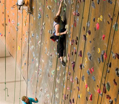 What Are The Most Important Muscles For Rock Climbing