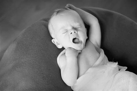 Newborn Yawn Photo By Ashley Hunt Photography Northern Utah