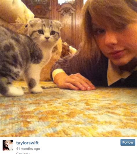 Celebrities With Their Cats Famous Celebrity Pets
