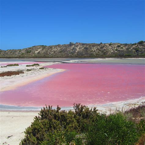 Hutt Lagoon Or More Affectionately Named As One Of Australias Pink