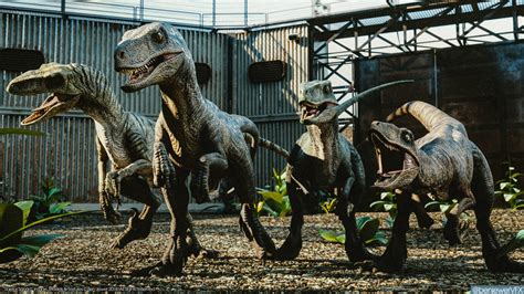 Jurassic World Velociraptor Compound By Benjee10 On Deviantart