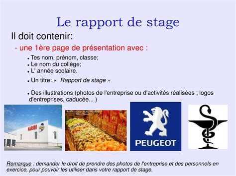 Exemple De Rapport De Stage Bts Cg Communauté Mcms