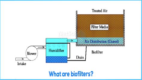What Are Biofilters Use Of Biofilters