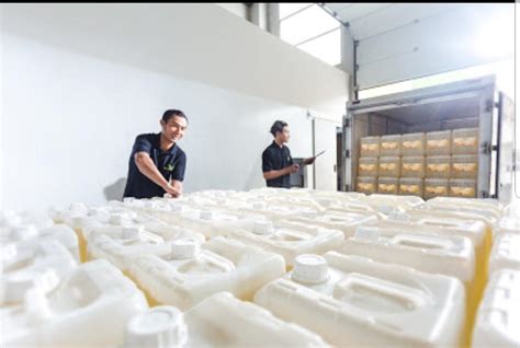 Ini jawabannya ketentuan gaji umk dan umr di setiap daerah dasar penetapan gaji umr dan umk untuk karyawan. Lowongan Kerja PT Mandiri Sejahtera Alami | Karir.com