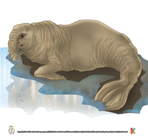 Check spelling or type a new query. Gambar Ilustrasi Gajah | Iluszi