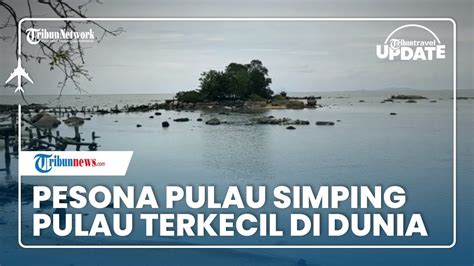 Pulau Terkecil Di Dunia Ada Di Indonesia Pulau Simping Di Kalbar