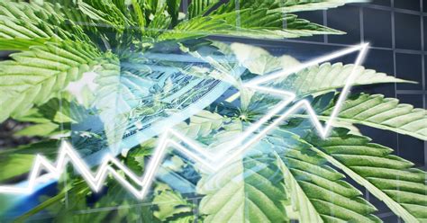 Best cryptocurrencies for investment in 2021. Will 2021 Be The Year For Cannabis Stocks? - INO.com ...
