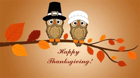 Happy Thanksgiving Owls Backiee