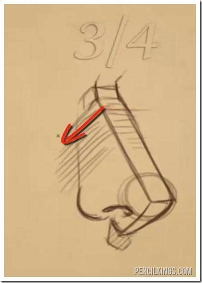 Take the blending stump and blend and soften the lines and shading lines you have drawn, to get the realistic look. How to Draw a Nose for Beginners