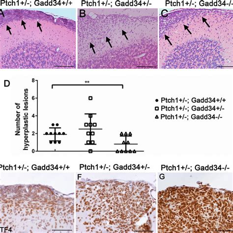 Check spelling or type a new query. Xiting LI | Department of Periodontology
