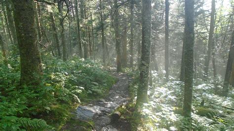 Appalachian Trail In Vermont Green Mountain Club